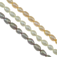 Perlas Arroz Freshwater, Perlas cultivadas de agua dulce, natural, más colores para la opción, Grado AAA, 4mm, agujero:aproximado 0.8mm, Vendido para aproximado 15 Inch Sarta
