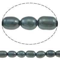 Rýže kultivované sladkovodní perle, Sladkovodní Pearl, modrá černá, Grade AA, 3.8-4mm, Otvor:Cca 0.8mm, Prodáno za Cca 15 inch Strand