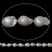 Cultured Freshwater Nucleated Pearl Beads, Keshi, natural, white, 11-13mm, Hole:Approx 0.8mm, Sold Per Approx 15.5 Inch Strand