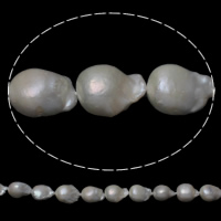 Cultured Freshwater Nucleated Pearl Beads, Keshi, natural, white, 11-13mm, Hole:Approx 0.8mm, Sold Per Approx 15.5 Inch Strand