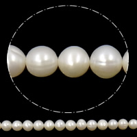 Perlas Redondas Freshwater, Perlas cultivadas de agua dulce, Esférico, natural, Blanco, 7-8mm, agujero:aproximado 0.8mm, Vendido para aproximado 15 Inch Sarta