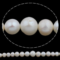 Knap ferskvandskulturperle Beads, Ferskvandsperle, Button, naturlig, hvid, 5-11mm, Hole:Ca. 0.8mm, Solgt Per Ca. 15.3 inch Strand