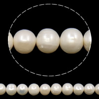 Perlas Patata Freshwater, Perlas cultivadas de agua dulce, natural, Blanco, 10-11mm, agujero:aproximado 0.8mm, Vendido para aproximado 14.5 Inch Sarta