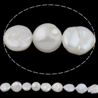 Perlas Moneda Freshwater, Perlas cultivadas de agua dulce, natural, Blanco, 11-12mm, agujero:aproximado 0.8mm, Vendido para aproximado 15.7 Inch Sarta