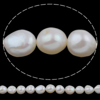 Barock odlad sötvattenspärla pärlor, Freshwater Pearl, naturlig, vit, 10-11mm, Hål:Ca 0.8mm, Såld Per Ca 15.7 inch Strand