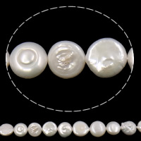 Coin Kulturan Slatkovodni Pearl perle, Dugme, pozlaćen, bijel, ocjena AA, 10-11mm, Rupa:Približno 0.8mm, Prodano Per 15 inčni Strand