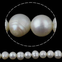 Perles de nacre rondes de culture d'eau douce, perle d'eau douce cultivée, naturel, blanc, 7-8mm, Trou:Environ 0.8mm, Vendu par Environ 15 pouce brin