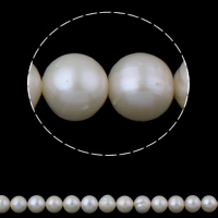 Perlas Redondas Freshwater, Perlas cultivadas de agua dulce, Esférico, Blanco, Grado A, 9-10mm, agujero:aproximado 0.8mm, Vendido para 15 Inch Sarta