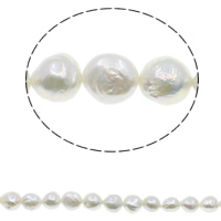 Perlas Patata Freshwater, perlas cultivadas nucleadas de agua dulce, natural, Blanco, 10-11mm, agujero:aproximado 0.8mm, Vendido para aproximado 15.7 Inch Sarta