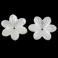 plastique ABS calotte de perle, fleur, perle d'imitation, blanc, 26x6mm, Trou:Environ 1mm, 30PC/sac, Vendu par sac