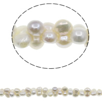 perla d'acquadolce coltivata naturalmente perla, Calabassa, naturale, bianco, 9-10mm, Foro:Appross. 0.8mm, Venduto per Appross. 15.7 pollice filo