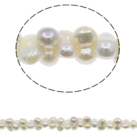 Sladkovodní Pearl Korálek, Dýňovník, přírodní, bílý, 9-10mm, Otvor:Cca 0.8mm, Prodáno za Cca 15.7 inch Strand