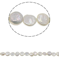 Pièce de culture des perles d'eau douce, perle d'eau douce cultivée, pièce de monnaie, naturel, blanc, 12-13mm, Trou:Environ 0.8mm, Vendu par Environ 15.7 pouce brin
