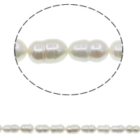 Natürliche kultivierte Süßwasserperlen Perle, Kalebasse, weiß, 10-11mm, Bohrung:ca. 0.8mm, verkauft per ca. 15.7 ZollInch Strang