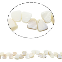 Natural Freshwater Shell Beads, Trapezium, multi-colored, 10x11x2.5mm-13x14x5mm, Hole:Approx 1mm, Approx 40PCs/Strand, Sold Per Approx 15.7 Inch Strand