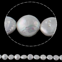 Pièce de culture des perles d'eau douce, perle d'eau douce cultivée, pièce de monnaie, naturel, blanc, 12-13mm, Trou:Environ 0.8mm, Vendu par Environ 15.3 pouce brin