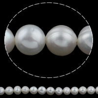 淡水養殖の真円真珠, 天然有核フレッシュウォーターパール, ラウンド形, 天然, ホワイト, 10-11mm, 穴:約 0.8mm, で販売される 約 14.3 インチ ストランド