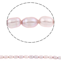 Cultured Rice Freshwater Pearl Beads, natural, purple, 3-4mm, Hole:Approx 0.8mm, Sold Per Approx 15.3 Inch Strand