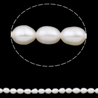 Riso coltivato in perla d'acqua dolce, perla d'acquadolce coltivata naturalmente, naturale, bianco, 4-5mm, Foro:Appross. 0.8mm, Venduto per Appross. 15.3 pollice filo
