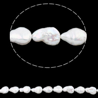 Perlas Moneda Freshwater, Perlas cultivadas de agua dulce, Gota, natural, Blanco, 12-13mm, agujero:aproximado 0.8mm, Vendido para aproximado 15 Inch Sarta