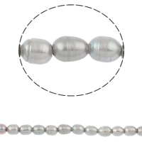 Perlas Arroz Freshwater, Perlas cultivadas de agua dulce, natural, gris, 10-11mm, agujero:aproximado 3mm, Vendido para aproximado 14.5 Inch Sarta