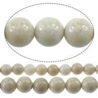 Bone Fossil Beads, Round, different size for choice, Hole:Approx 1mm, Length:Approx 16 Inch, Sold By Lot