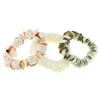 Shell gioielli bracciale, conchiglia, misto, 15-25mm, Lunghezza Appross. 7 pollice, 10Strandstrefolo/lotto, Venduto da lotto