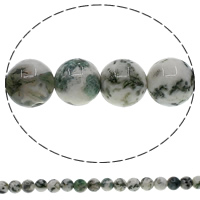 Perle Agate mousse naturelle, Rond, 8mm, Trou:Environ 1mm, Longueur:Environ 15 pouce, 10Strandstoron/lot, Environ 48PC/brin, Vendu par lot