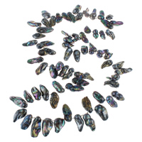 coquille collier de chandail, multicolore, 19-27mm, Vendu par Environ 29 pouce brin