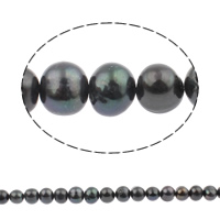Barock odlad sötvattenspärla pärlor, Freshwater Pearl, Rund, svart, 10-11mm, Hål:Ca 0.8mm, Såld Per 14.5 inch Strand