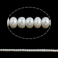 Tlačítko kultivované sladkovodní Pearl Beads, bílý, 5-6mm, Otvor:Cca 0.8mm, Prodáno za 15 inch Strand