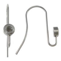 Stainless Steel Hook Earwire, original color, 4x19x16mm, Inner Diameter:Approx 2mm, 200Pairs/Lot, Sold By Lot