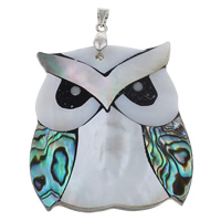 Natural Mosaic Shell Pendants, Freshwater Shell, with brass bail & Black Shell & Abalone Shell & Resin, Owl, platinum color plated, 39x44x4mm, Hole:Approx 3x2mm, 10PCs/Bag, Sold By Bag