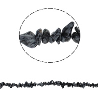 Gemstone Chips, Snowflake Obsidian, 5-8mm, Hole:Approx 0.8mm, Approx 260PCs/Strand, Sold Per Approx 34.6 Inch Strand