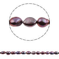 Barock odlad sötvattenspärla pärlor, Freshwater Pearl, mörkt lila, 8-9mm, Hål:Ca 0.8mm, Såld Per Ca 15.3 inch Strand