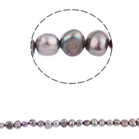 Barocco coltivate in acqua dolce Perla, perla d'acquadolce coltivata naturalmente, viola scuro, 6-7mm, Foro:Appross. 0.8mm, Venduto per Appross. 15.3 pollice filo