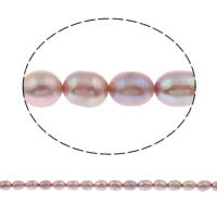 Perlas Arroz Freshwater, Perlas cultivadas de agua dulce, natural, Púrpura, 6-7mm, agujero:aproximado 0.8mm, Vendido para aproximado 15 Inch Sarta