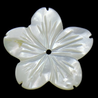 Natürliche weiße Muschelperlen, Blume, 26x3mm, Bohrung:ca. 2mm, 10PCs/Tasche, verkauft von Tasche