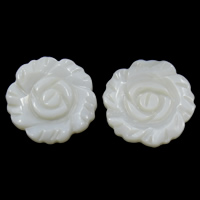 Shell Cabochons White Shell Flower flat back Sold By Bag