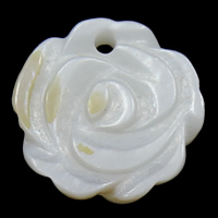 Pendentifs de coquillages blancs naturels, coquille blanche, fleur, 13x13x2mm, Trou:Environ 1mm, 20PC/sac, Vendu par sac
