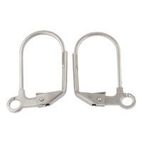Stainless Steel Lever Back Earring Wires, original color, 14x18x2mm, Hole:Approx 2mm, 500Pairs/Bag, Sold By Bag