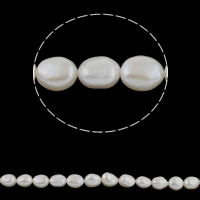 Perles nacres baroques de culture d'eau douce , perle d'eau douce cultivée, naturel, blanc, année AAAA, 12-13mm, Trou:Environ 0.8mm, Vendu par Environ 15.7 pouce brin