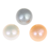 Perles nacres de culture d'eau douce demi percées , perle d'eau douce cultivée, dôme, semi-foré, plus de couleurs à choisir, Niveau AA, 9.5-10mm, Trou:Environ 0.8mm, 27pairescouple/sac, Vendu par sac