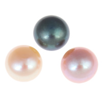 Perles nacres de culture d'eau douce demi percées , perle d'eau douce cultivée, dôme, semi-foré, plus de couleurs à choisir, Niveau AA, 10-10.5mm, Trou:Environ 0.8mm, 24pairescouple/sac, Vendu par sac
