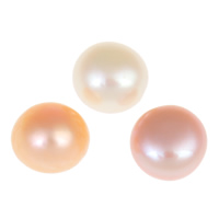 Cultured Half Drilled Freshwater Pearl Beads Dome natural half-drilled Grade AAA 10-10.5mm Approx 0.8mm Sold By Bag