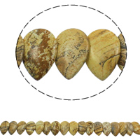 Natural Picture Jasper Beads, Teardrop, 22x31x5mm, Hole:Approx 1mm, Approx 23PCs/Strand, Sold Per Approx 15.5 Inch Strand