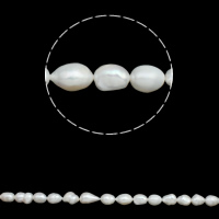 Barock kultivierten Süßwassersee Perlen, Natürliche kultivierte Süßwasserperlen, natürlich, weiß, 11-12mm, Bohrung:ca. 0.8mm, verkauft per ca. 15 ZollInch Strang