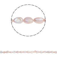 Perles nacres baroques de culture d'eau douce , perle d'eau douce cultivée, naturel, violet, 6-7mm, Trou:Environ 0.8mm, Vendu par Environ 14.7 pouce brin