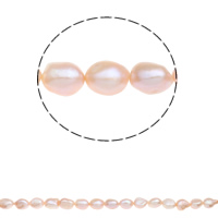 Perles nacres baroques de culture d'eau douce , perle d'eau douce cultivée, naturel, rose, 11-12mm, Trou:Environ 0.8mm, Vendu par Environ 15.5 pouce brin