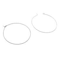 Stainless Steel Hoop Earring Component, 316 Stainless Steel, Donut, original color, 25mm, 0.7mm, 500Pairs/Bag, Sold By Bag